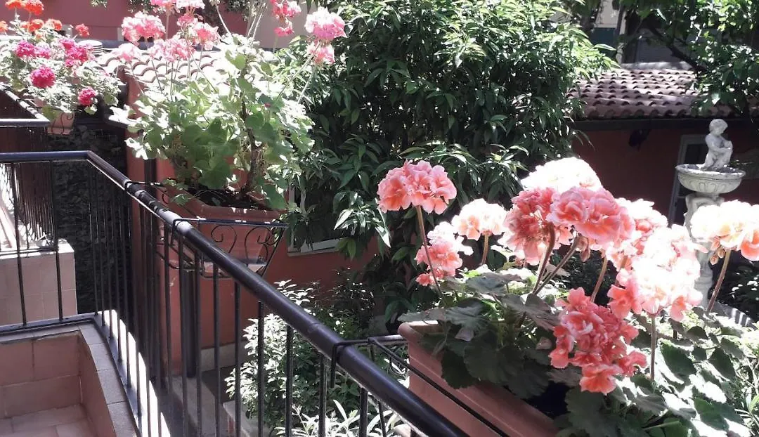 Gioia Bed&Breakfast-1