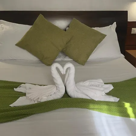 Romalive Hotel-2